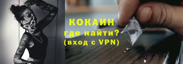 прущие грибы Вязники