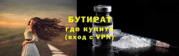 прущие грибы Магадан