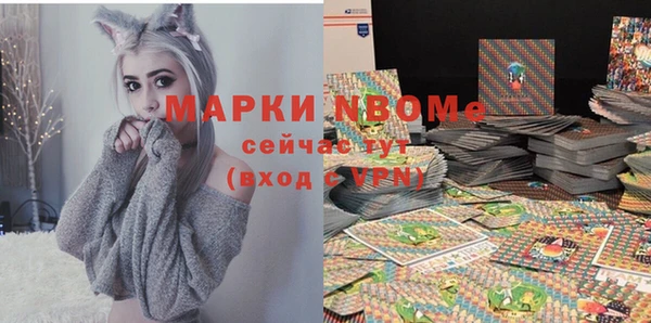 прущие грибы Магадан