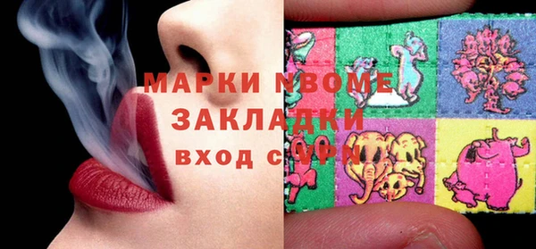 прущие грибы Магадан