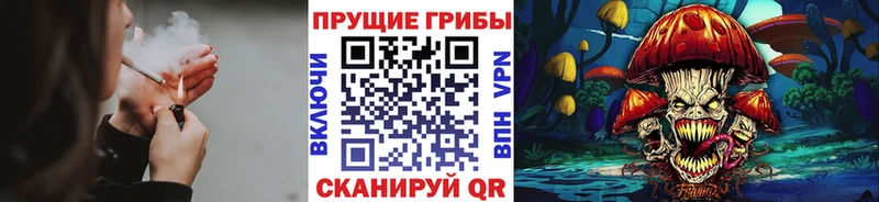 Псилоцибиновые грибы прущие грибы  купить  цена  Галич 