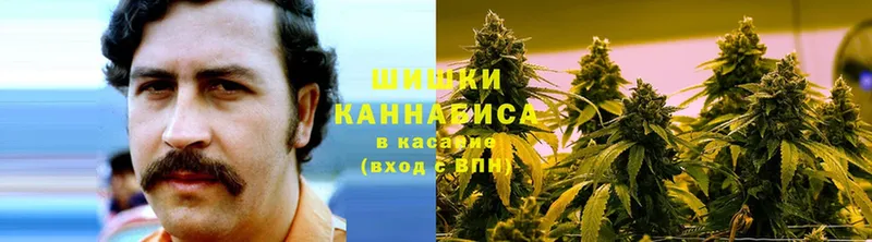 МАРИХУАНА Bruce Banner  дарнет шоп  Галич 